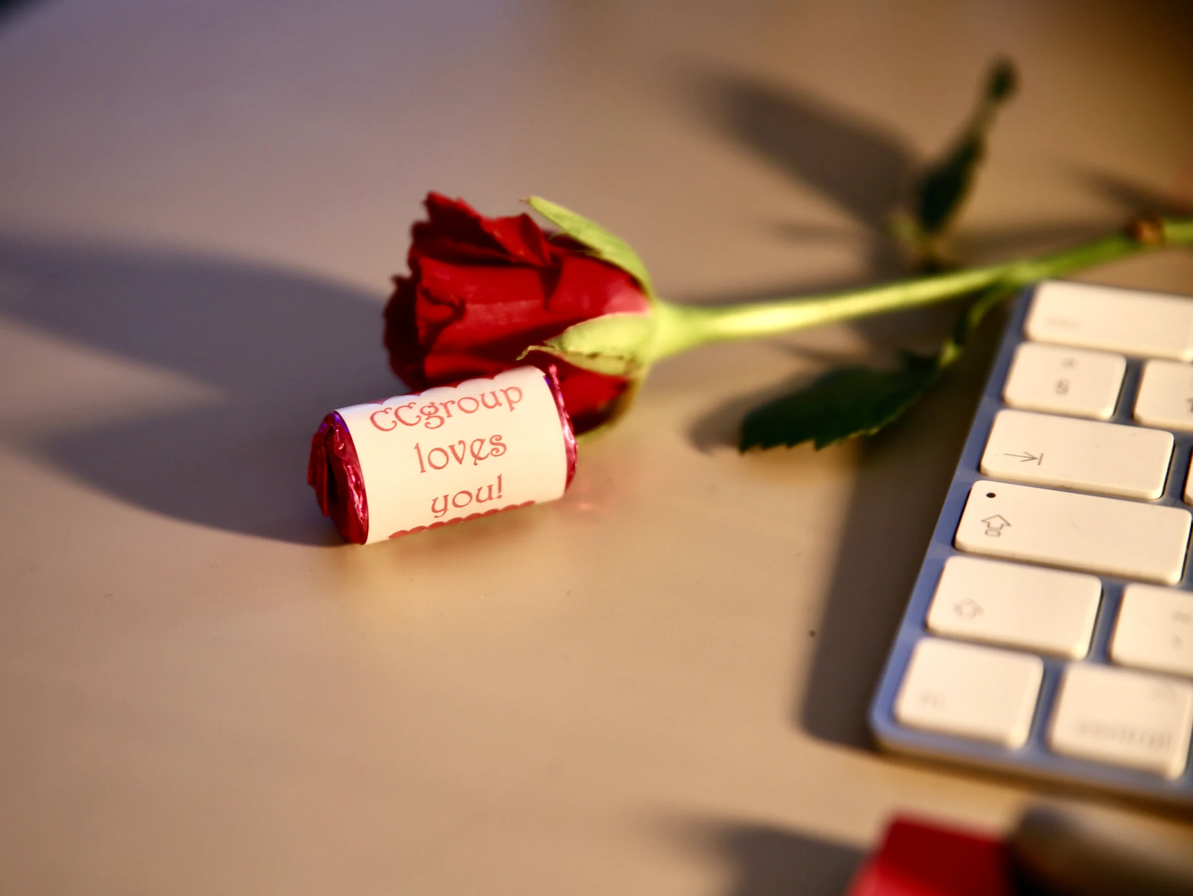 Why CCGroupies received a rose on Valentine’s Day?