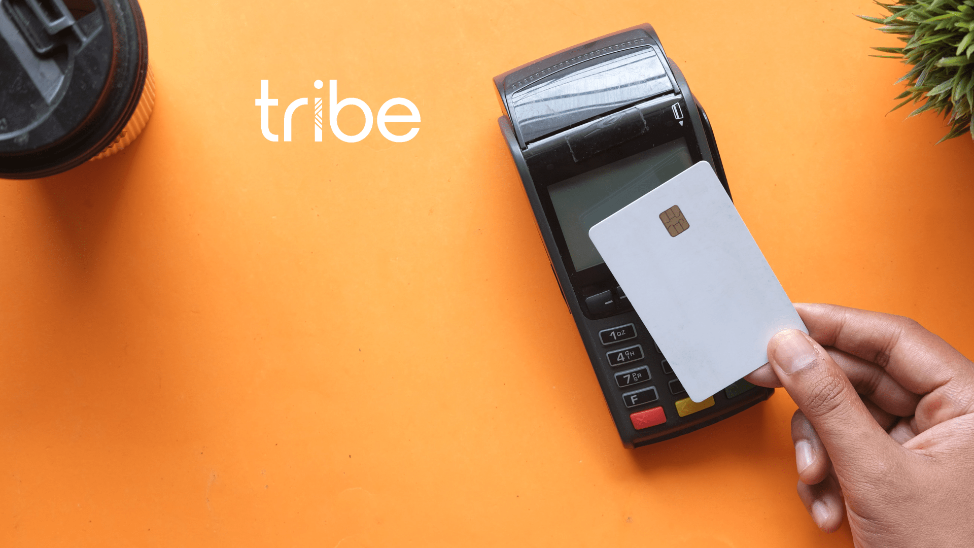 Fame & fortune in fintech- Launching Tribe Payments