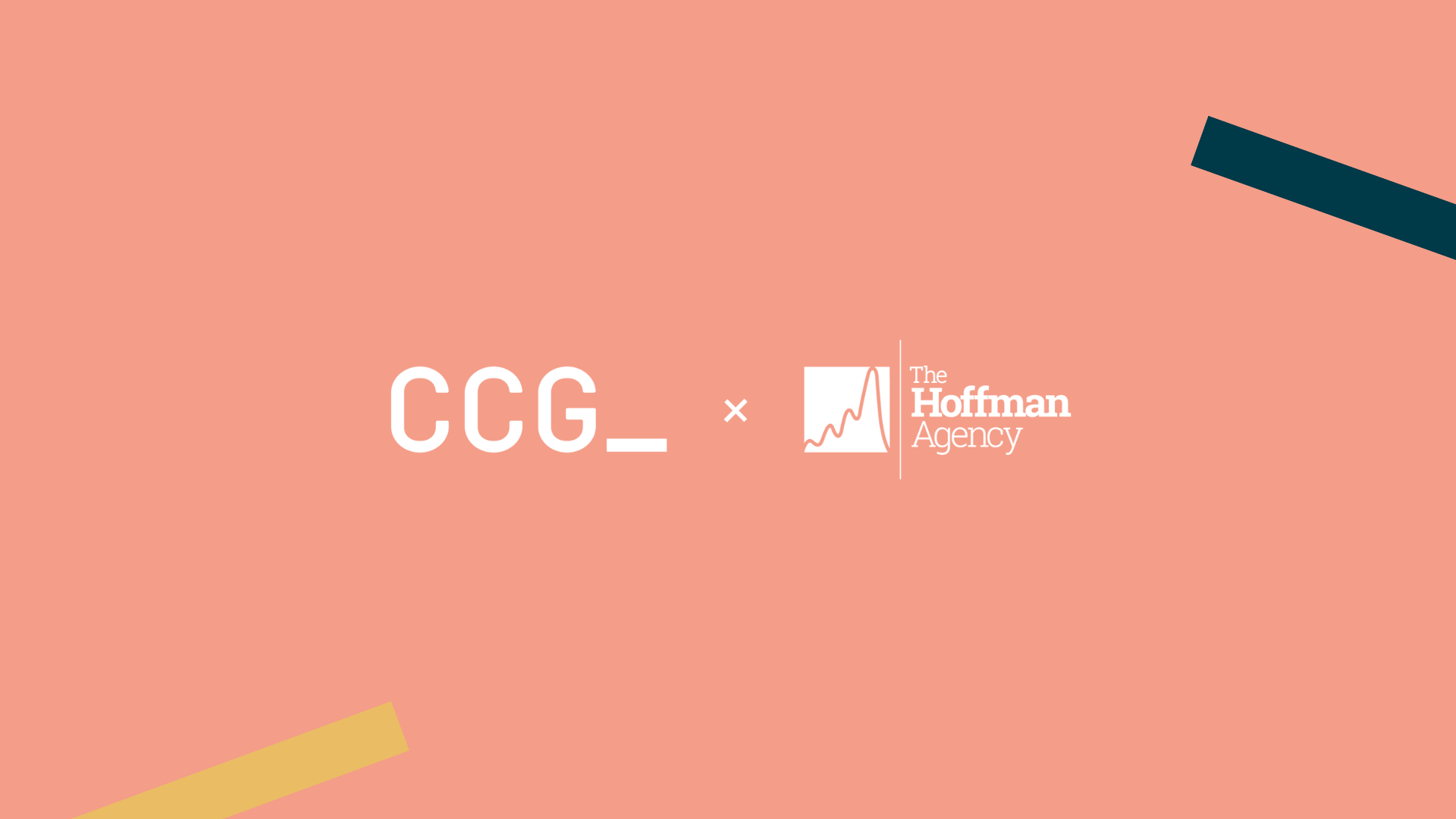 CCGroup x The Hoffman Agency